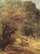 Gustave Courbet Deer painting